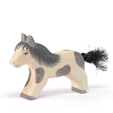 Shetland Pony running